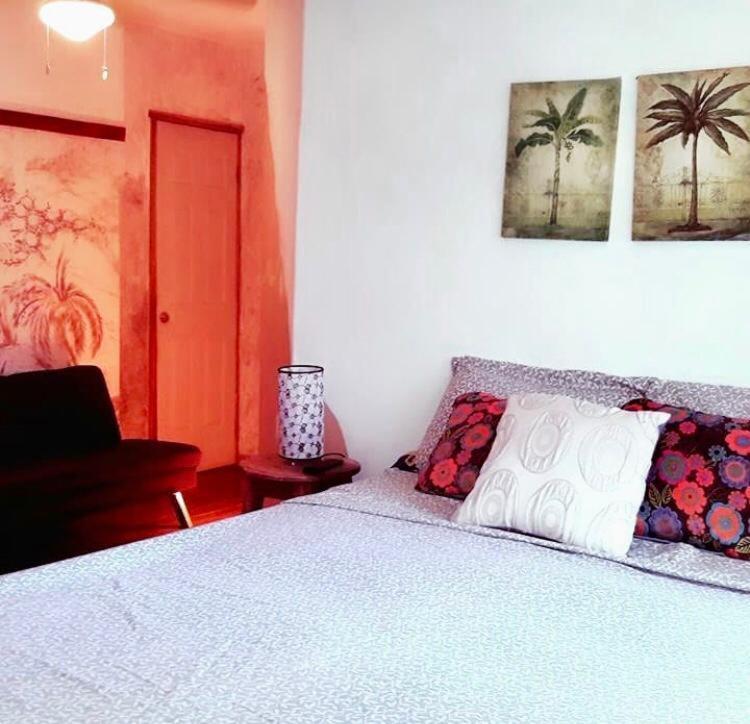 Cabinas Flamingo بلايا فلامنغو المظهر الخارجي الصورة